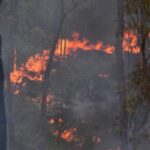 Bushfire Valley downsized 2hh but out of control in NSW Seeker Humble